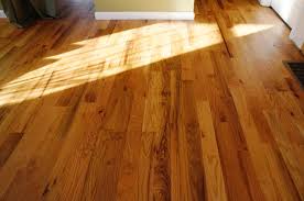 Best Natural Oil Hardwood Floor Finish The Year Of Mud Hardwood Floors Wood Floors Wide Plank Wood Floors
