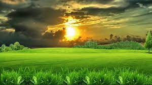 Nature Video Wallpaper Hd Nature Gif Landscape Pictures Landscape