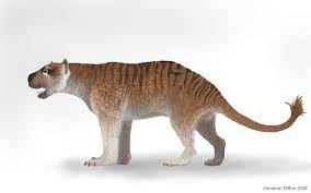 Thylacoleo Carnifex By Https Www Deviantart Com Camerondillon On Deviantart Prehistoric Animals Megafauna Animals