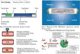 Pdf Implants And Controlled Released Drug Delivery System Semantic Scholar