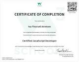 W3Schools JavaScript Certificate