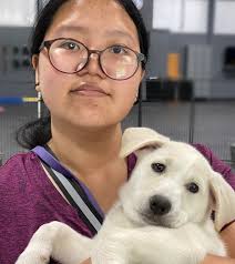 Hier findest du puppy training zum besten preis. Muttschool Professional Dog Training To Fit Your Lifestyle
