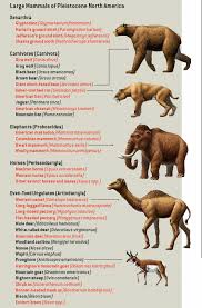 Pleistocene America Google Search Prehistoric Animals Extinct Animals Prehistoric Creatures