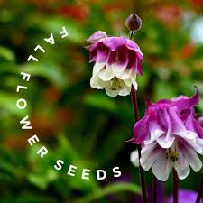 Select two or three of your favorite flowers to grow. 25 Annual Perennial Flower Seeds To Sow In Fall Printable List