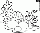 All rights belong to their respective owners. Algae Coloring Page Printable Game