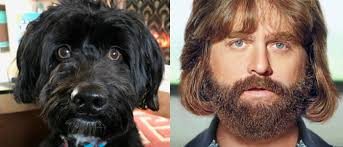 Chad Gilbertson look familiar?