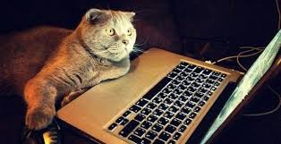 When thinkorswim is in paper money mode, data is delayed by 20 minutes. Remove Delay In Thinkorswim Tos Thinkorswim Free