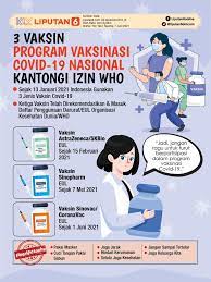 Selanjutnya bulk vaksin itu akan menjalani proses pengolahan di bio farma sehingga kemudian menjadi produk vaksin jadi. Beri Izin Darurat 6 Jenis Vaksin Corona Bpom Awasi Pelaksanaan Vaksinasi Covid 19 Health Liputan6 Com