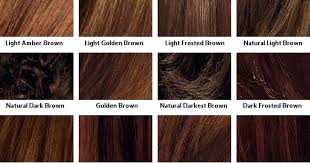 Brown Hair Color Chart Coloring Hair And Hair Highlighting