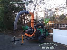 We Turned Our Scag Giant Vac Skid Loader Into A Truck Loader We Tried Selling Her To Get A Truck Loader But Tree Removal Service Landscape Projects Lawn Care