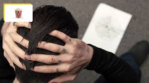 Introuvable sur Netflix : où voir le thriller Prisoners avec Jake  Gyllenhaal ? - Actus Ciné - AlloCiné