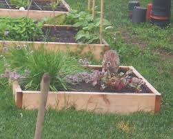 If you notice your garden plants have damaged leaves and stems, pests may be to blame. Rabbit Proofing A Vegetable Garden 10 Ways To Deter Rabbits From Damaging A Plot Full Of Vegetables Vegetable Garden Veggie Garden Edible Landscaping