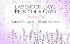 Opening Day - June 6