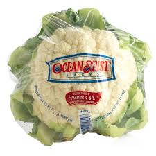 Image result for Ocean Mist 1983 Hussmann