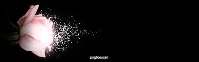 Fantasy Flowers Light Effect Black Background Light Effect Black Background Images Watercolor Flowers
