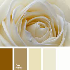 The name comes from beige cloth, a woolen fabric left in its natural color. Shades Of White Gold Color Palette Ideas