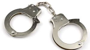 SJSO arrest reports 10/29-11/7