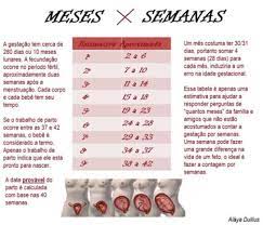 Basta informar o dia da última menstruação e a duração do ciclo e o calendário de. 22 Semanas Sao Quantos Meses Janeiro De 2017 Babycenter