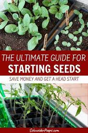Tips For Successfully Starting Seeds Indoors And Getting A Head Start On Your Vegetable Garden Starting Seeds Indoors Organic Gardening Tips Starting A Vegetable Garden