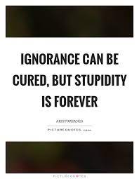 Ignorance Can Be Cured But Stupidity Is Forever Picture Quotes