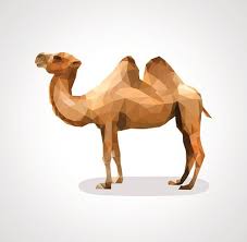 Camel (camelus bactrianus) isolated on white background. Camel Low Polygon Polygon On A White Background Stock Vectors And Illustrations