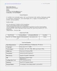 Created client library that provided load balanced and fault tolerant consumption of spring boot microservices from monolithic application. J2ee Web Development Resume Vorte