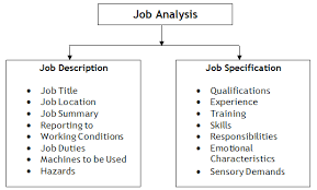 job description job specification definition purpose ppt