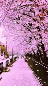 The best gifs for 4k nature. Best Nature Wallpaper Gif