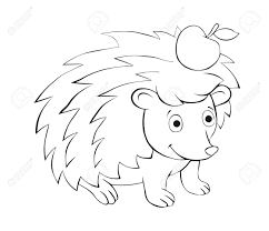 When in flight birds are truly majestic and can leave a bird. Illustration Drawing In Black Contour Of Animals Birds And Sea Stock Photo Picture And Royalty Free Image Image 127988733