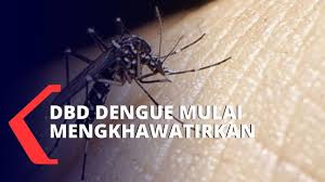 Jangan bersenam semasa anda demam. Apakah Denggi Hemorrhagic Demam Dhf