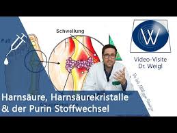 Doktorweigl Erklart Gicht Und Ernahrung Ernahrung Gegen Gicht