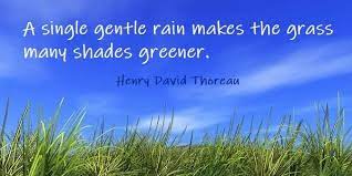 Thanks for watching my video semoga have fun and subscribe chanel subscribe itu gratis. Kata Mutiara Bahasa Inggris Tentang Rumput Grass Dan Artinya