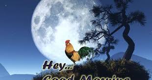 Birds Chirping In The Morning Sound Effect Good Morning Animation Images Bird Sound Effect Festival Chaska Good Morning Animation Good Morning Animated Images Good Morning Images