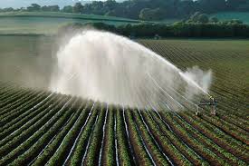 Static public member functions inherited from image::modification. Major Breakthrough Genetic Modification Of Single Gene Could Reduce Crops Water Use By 25 Percent Long Lab
