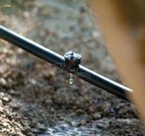Titans High Quality Corona Pressure Compensated Emitter/Dripper for Drip  Irrigation