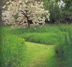 Grass Path Repinned By Llewellyn Landscape Garden Design Www Llgd Co Uk Natural Landscaping Natural Garden Cottage Garden