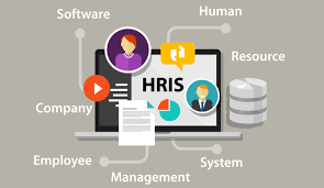 Human resource professionals utilize these systems to facilitate work flow, improve efficiency and store and collect information. Ultimate Guide On Hris Human Resources Information System