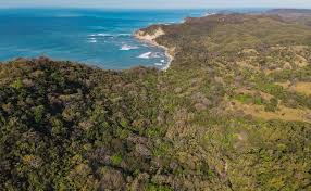 Maybe you would like to learn more about one of these? Finca Barco Quebrado Sotheby S Realty Nosara Wanderlust Group Nosara Real Estate Vacation Rentals