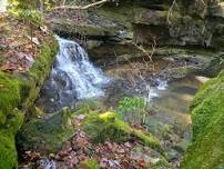 Wild Wednesday Nature Hikes for Kids and Families