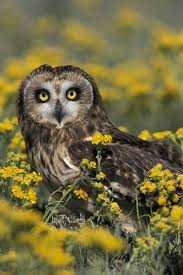 Bildergebnis für John Shaw