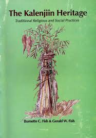 Image result for Mimulopsis arborescens