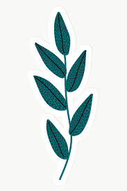 Download Premium Png Of Green Leaves Sticker Transparent Png 2034612 Transparent Stickers Green Aesthetic Flower Doodles