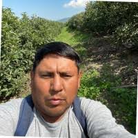 70+ "Emerson Vásquez" profiles