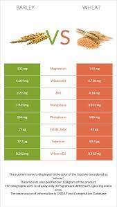 Barley grass is rich in vitamins a and c, which act as antioxidants. Barley Vs Wheat Health Impact And Nutrition Comparison
