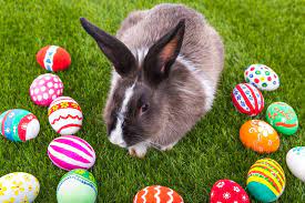 A symbolic rabbit sometimes depicted delivering easter eggs to children. Heather Huybregts A Letter From A Mom To The Easter Bunny It S Ok To Go Minimalist This Year Regional Lifestyles Lifestyles The Chronicle Herald