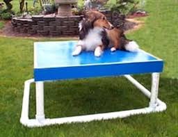 The Pause Table Is An Essential Obstacle On Almost Any Agility Course It Is Used To Show Stability And Control B Dog Agility Course Dog Playground Dog Agility
