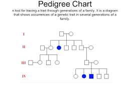 Pedigree Chart A Tool For Tracing A Trait Through