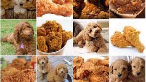 Dog Or Fried Chicken Is The Most Disgustdorable Meme You Ll Ever See Mtv