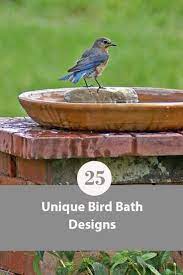 The best way to attract insects to your yard is to plant native trees, shrubs, and flowers! 25 Stellar Bird Bath Ideas For Your Backyard In 2021 Unique Bird Baths Diy Bird Bath Bird Bath