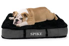 K9 Ballistics Orthopedic Lux Rectangle Dog Bed Check Out